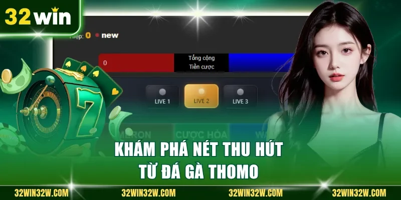 Khám phá nét thu hút từ đá gà Thomo