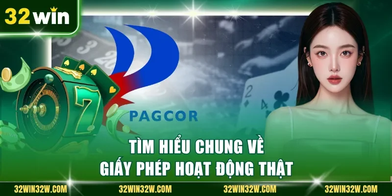 Tìm hiểu chung về giấy phép hoạt động thật